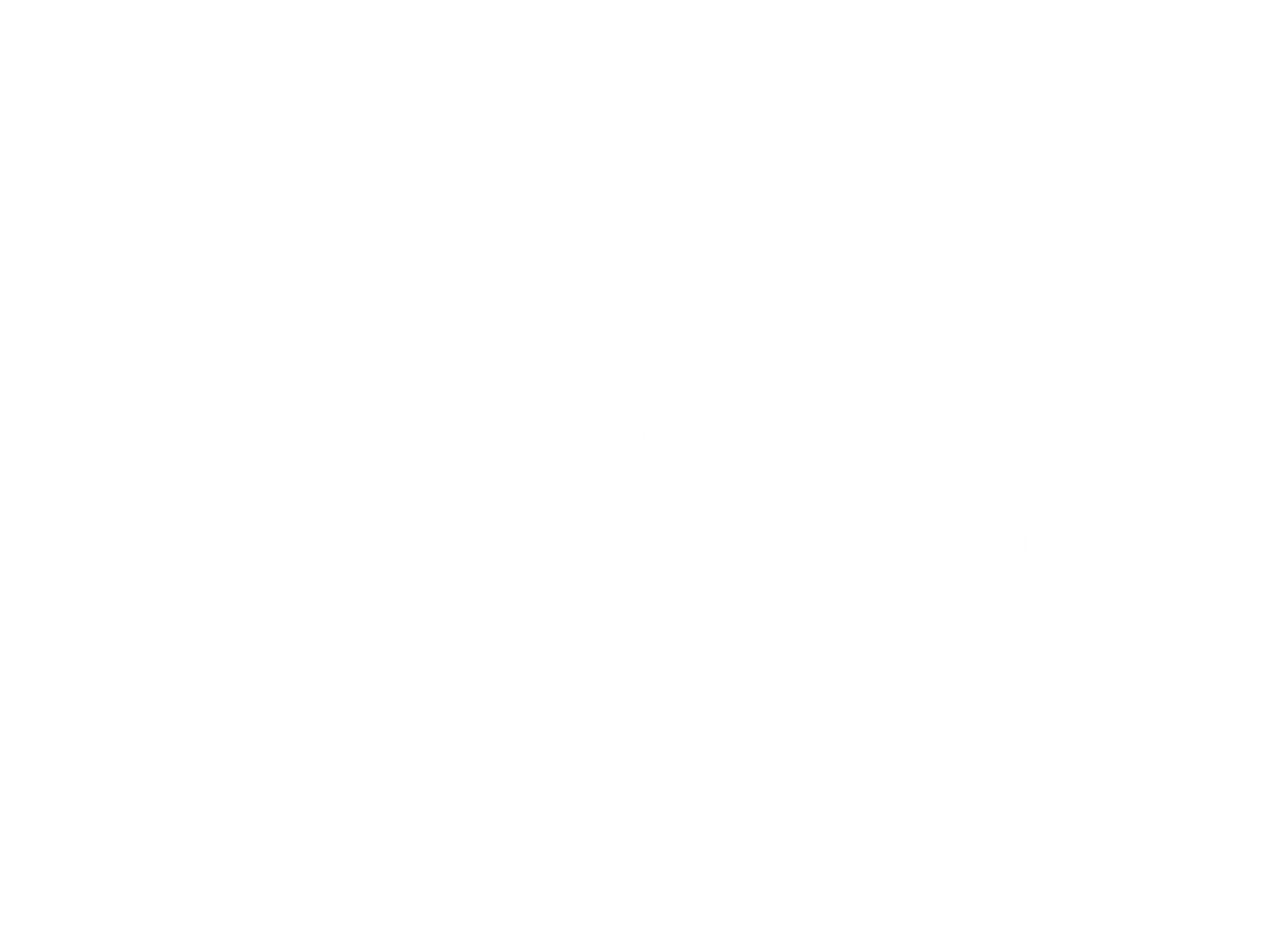 Logo BG ELEC